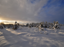 CSC_0069