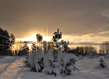 CSC_0071