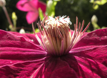 DSCN0626 – koopia