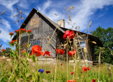 DSC_0113 – koopia