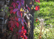 _DSC0059